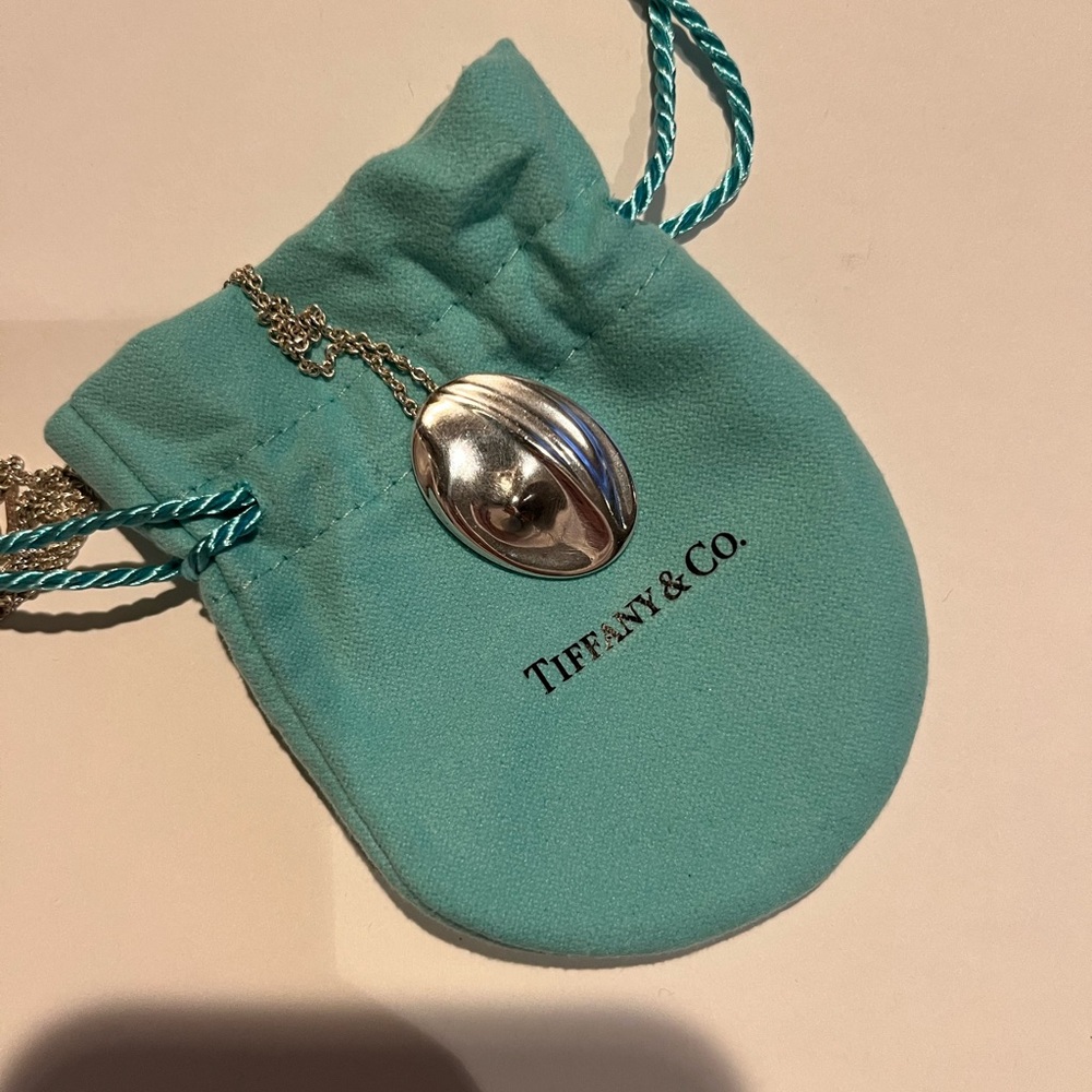 Tiffany Virgo Zodiac Necklace - extra long 30” chain!
